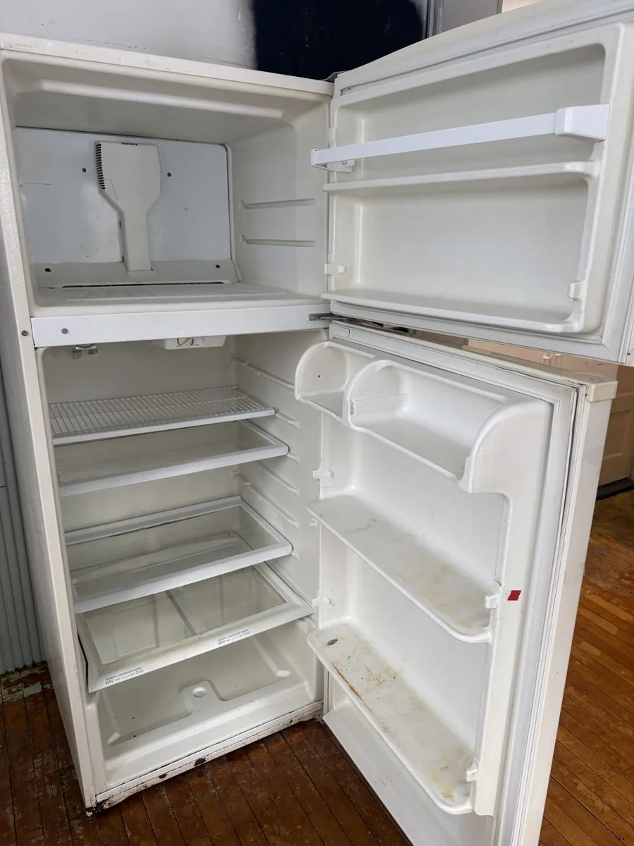 Refrigerator fresh and spotless after cleaning