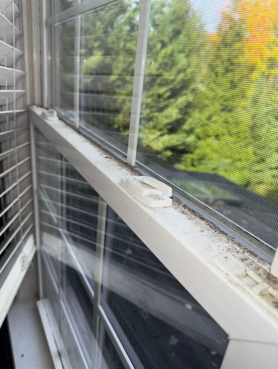 Window sill and track full of dirt and debris before cleaning